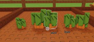 carrot