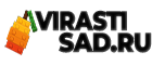 logoblackmain1