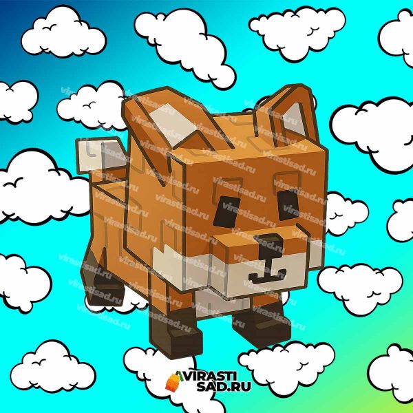 Red Fox grow a garden