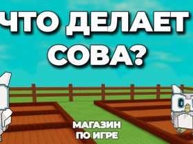 что делает сова в вырасти сад