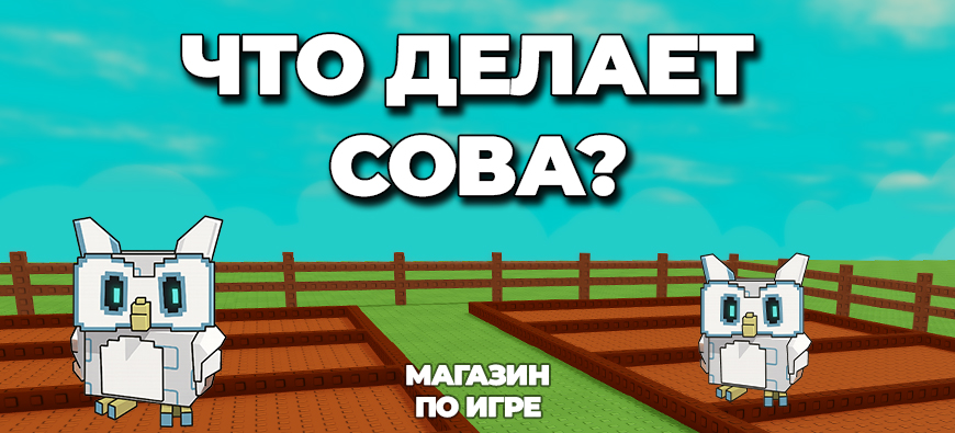 что делает сова в вырасти сад