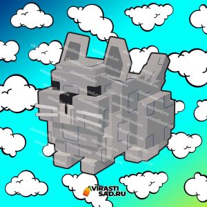 Купить Chinchilla в вырасти сад