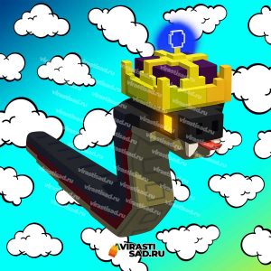 Купить Hex Serpent в вырасти сад