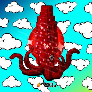 Купить Ruby Squid